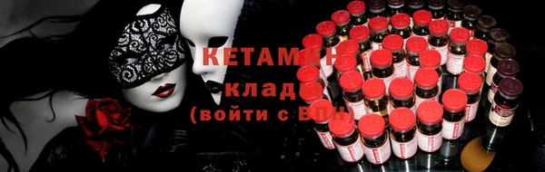 индика Коряжма
