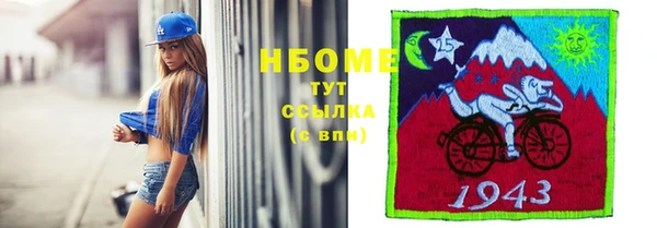 прущие грибы Нижний Тагил