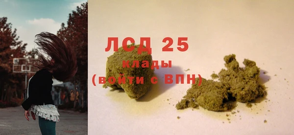 прущие грибы Нижний Тагил