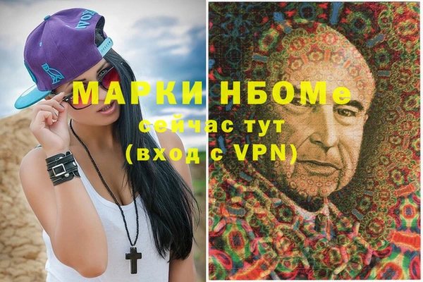 прущие грибы Нижний Тагил