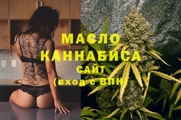 индика Коряжма