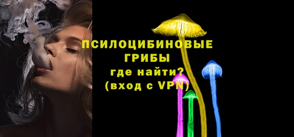 прущие грибы Нижний Тагил