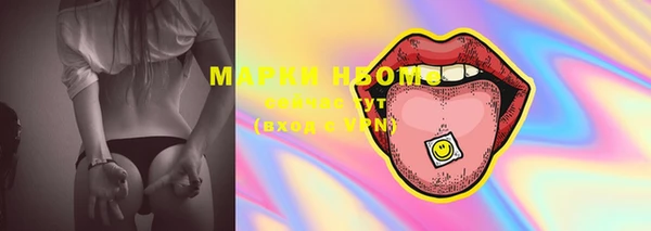 индика Коряжма