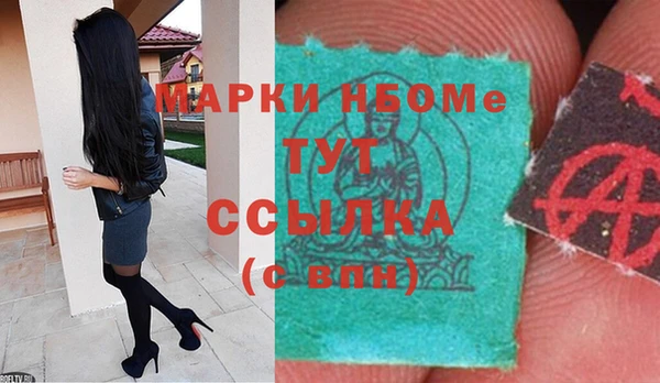 прущие грибы Нижний Тагил