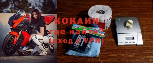 индика Коряжма