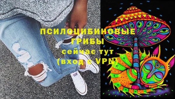 соль ск Костерёво