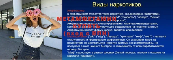 шишки Корсаков
