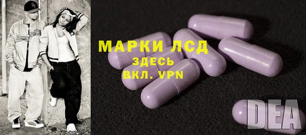 прущие грибы Нижний Тагил