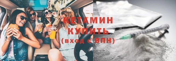 шишки Корсаков