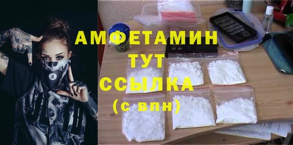 прущие грибы Нижний Тагил